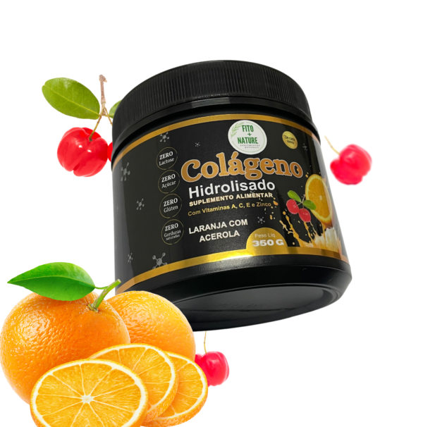 Colágeno Hidrolisado rico em Vitaminas A, C, E e Zinco 350g - Imagem 3