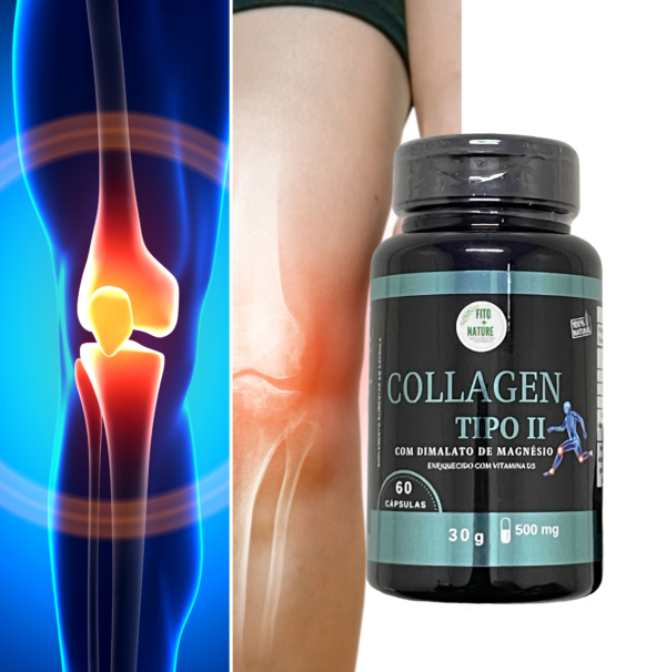 Colágeno Tipo 2 com Dimalato de Magnésio e Vitamina D3 60cps 500mg - Imagem 4