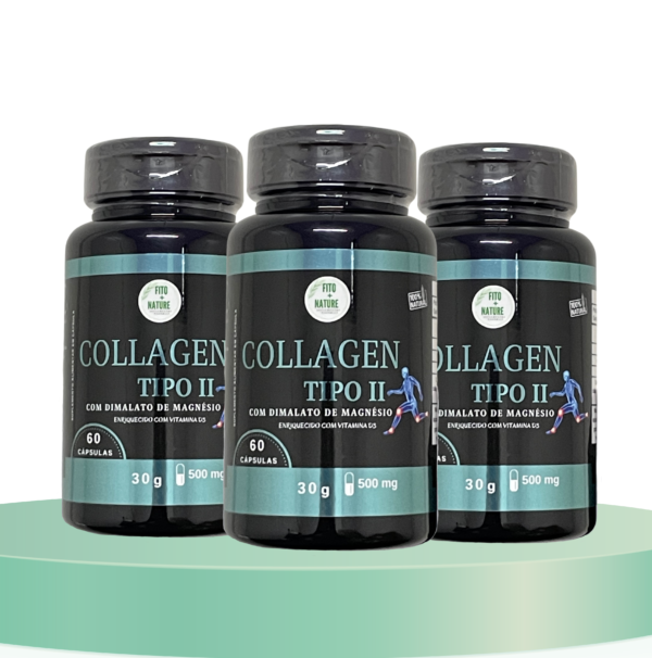 Colágeno Tipo 2 com Dimalato de Magnésio e Vitamina D3 60cps 500mg - Imagem 3