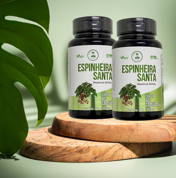 Espinheira santa 60 cápsulas 500mg - Imagem 4