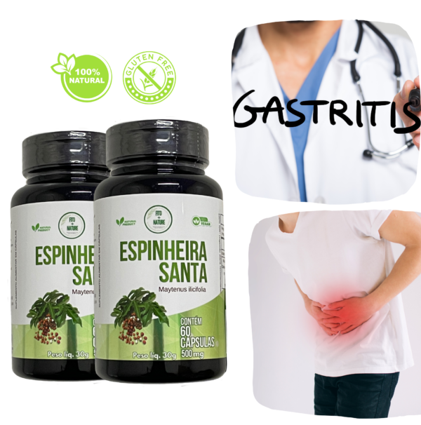 Espinheira santa 60 cápsulas 500mg - Imagem 3