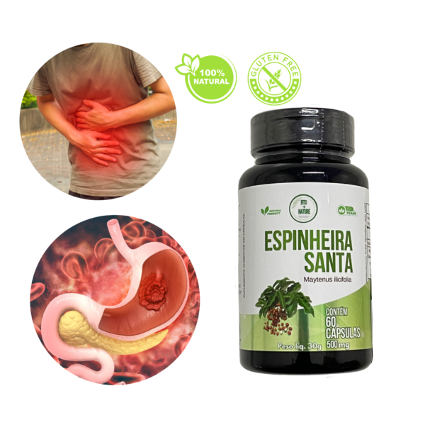Espinheira santa 60 cápsulas 500mg - Imagem 2