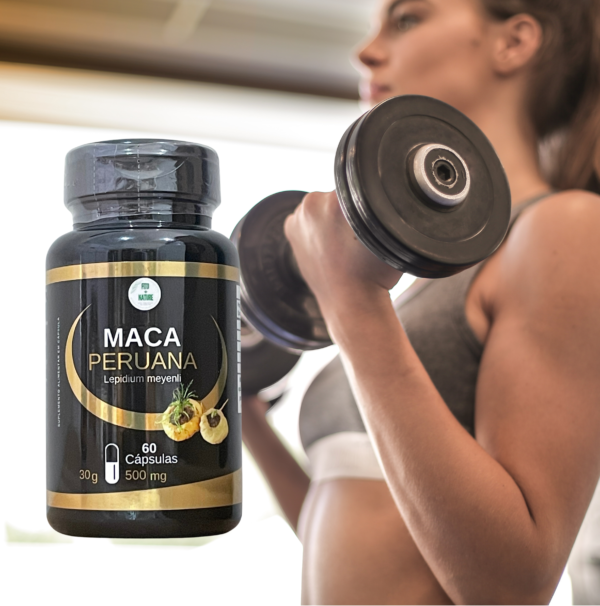 Maca Peruana 60 cápsulas 500mg - Imagem 4